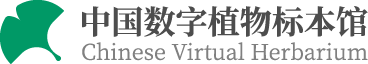 植物标本搜索logo